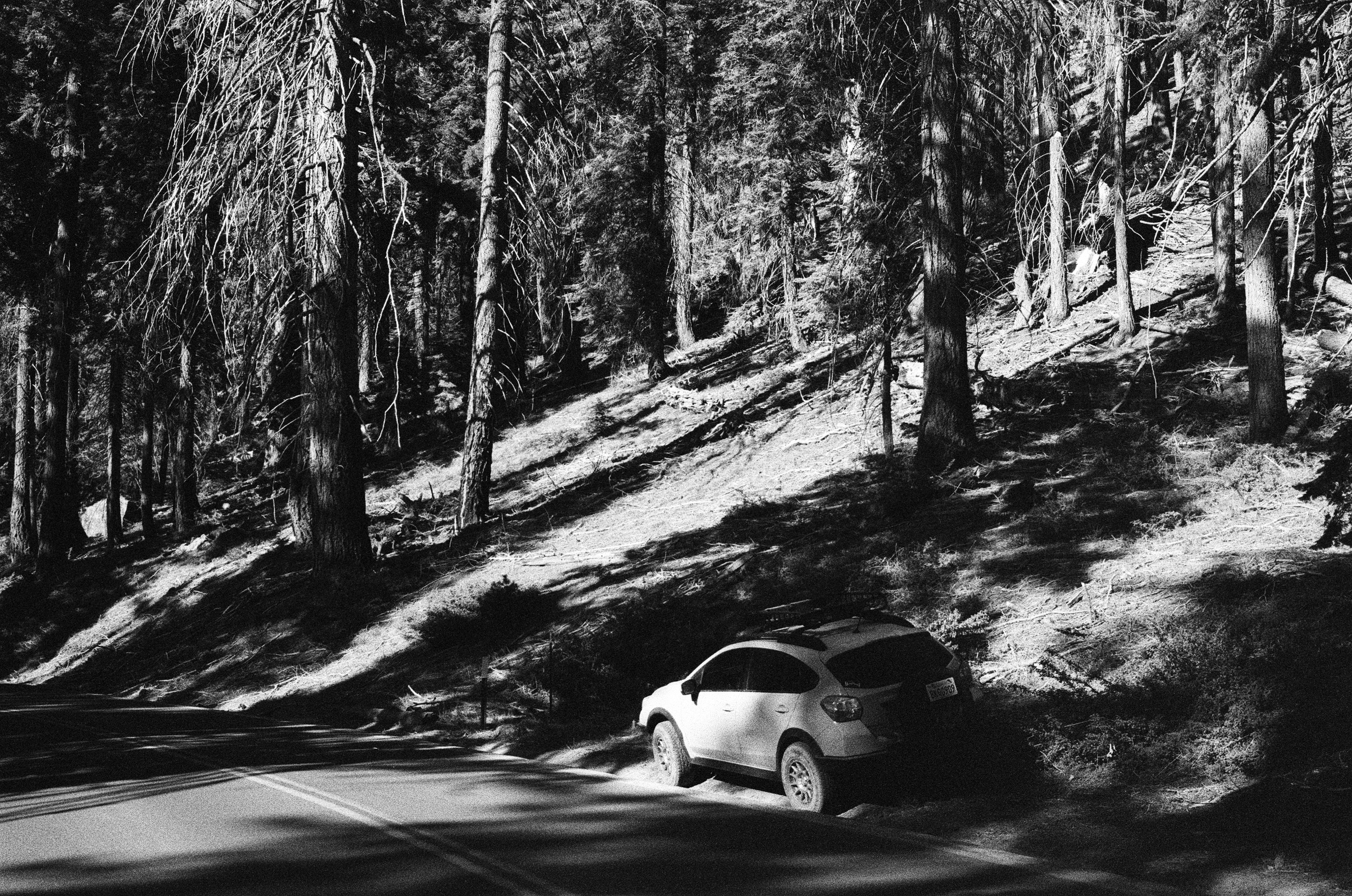 Sequoia np and a car