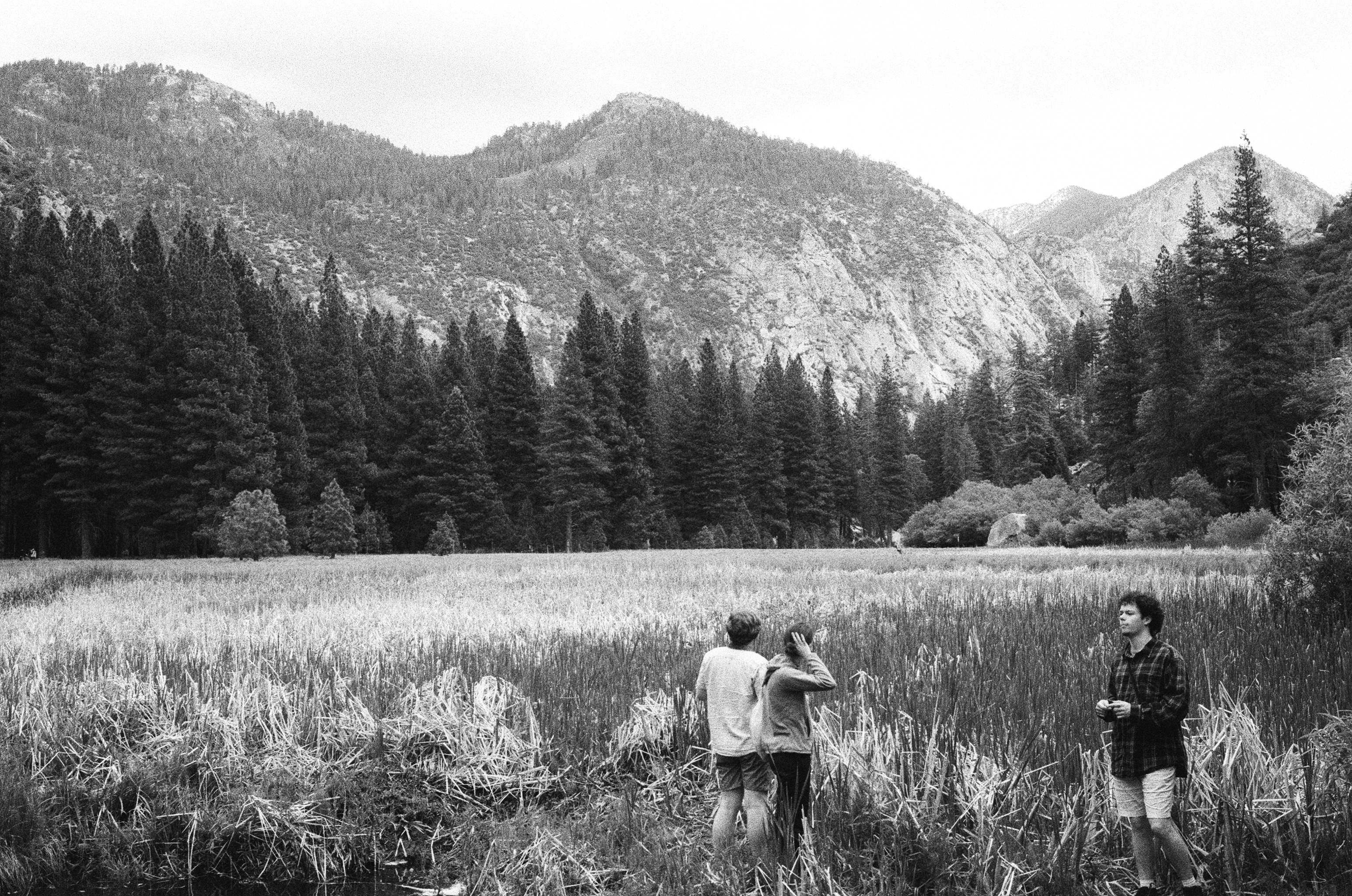 Zumwalt Meadows